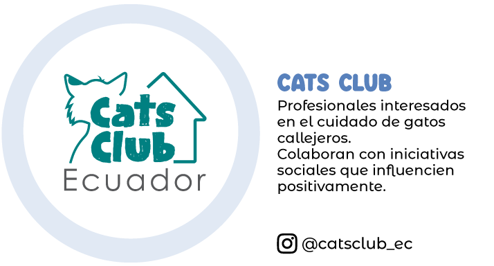 cats-club