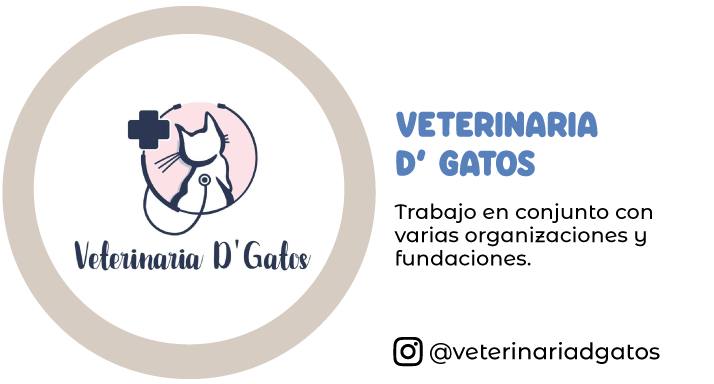 veterinaria-d-gatos